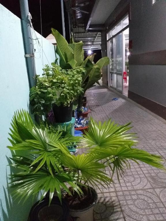 Nha Nghi Nguyen Anh Hotell Long Hai Exteriör bild
