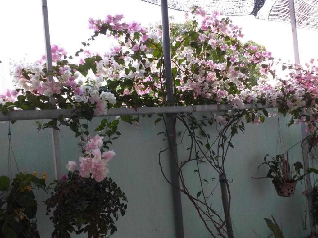 Nha Nghi Nguyen Anh Hotell Long Hai Exteriör bild